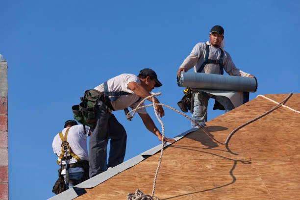 Best Roof Repair Services  in Catahou, LA