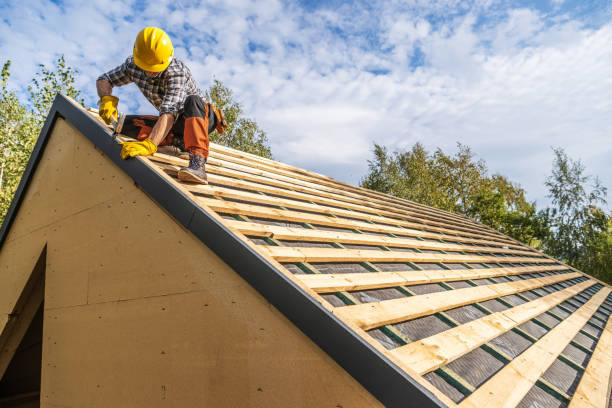 Best Roof Gutter Cleaning  in Catahou, LA