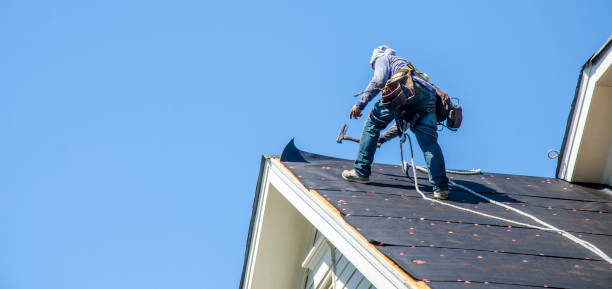 Best Gutter Installation and Roofing  in Catahou, LA